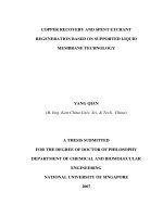 Copper recorvery and spent etchant regeneration based on supported liquid membrane technology 