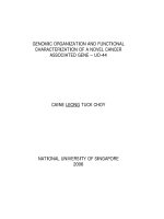 Genomic organization and functional characterization of a novel cancer associated gene   u0 44 