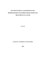 Multifunctional nanoparticles of biodegradable polymers for diagnosis and treatment of cancer 