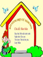 Bài giảng điện tử mầm non lớp Mầm đề tài Đôi mắt xinh xinh