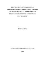 Identification of metabolites of meisoindigo from interspecies microsomes and in vivo biological fluids in rats by liquid chromatography tandem mass spectrometry 
