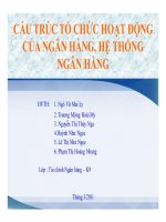 Cấu trúc tổ chức hoạt động của ngân hàng, hệ thống ngân hàng g 