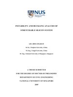 Instability and buckling analysis of stretchable silicon system 