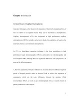Development of methods to improve sensitivity and portability of capillary electrophoresis for the analysis of stabilizers and drugs 2 