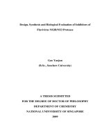 Design, synthesis and biological evaluation of inhibitors of flavivirus NS2B NS3 protease 