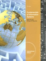 Fundamentals of information systems seventh edition c