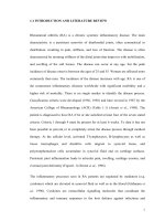 Cytokines profiles in patients with rheumatoid arthritis  genetic polymorphisms, protein and gene expressions of tumour necrosis factor x interleukin 18 and interleukin 18 binding proteins 
