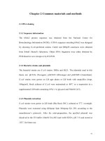 NMR study of the human NCK2 SH3 domains structure determination, binding diversity, folding and amyloidogenesis 2 