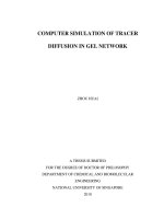 Computer simulation of tracer diffusion in gel network 