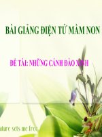 Bài giảng điện tử mầm non lớp Mầm đề tài Những cánh đào xinh