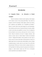 Synthesis and characterization of  non shrinking  nanocomposites for dental applications 2 