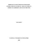 Tribology of polymer film with hard interlayers on si surface   role of surface energy on adhesion and static friction 