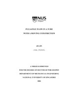 Pulsatile flow in a tube with a moving constriction 