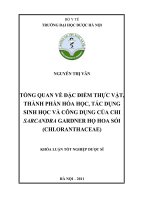 Tổng quan về đặc điểm thực vật, thành phần hoá học, tác dụng sinh học và công dụng của chi sarcandra gardner họ hoa sói ( chloranthaceae)