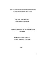 Effect of radiation on the sensori neural auditory system and the clinical implications 1 