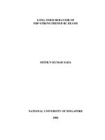 Long term behavior of FRP strengthened RC beams 