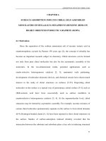 Studies of self assembled monolayers on highly oriented pyrolytic graphite using scanning tunneling microscopy and computational simulation 6 