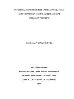 Functional genomics in rice (oryza sativa l) using ac ds transposon tagging system and gene expression profiling 