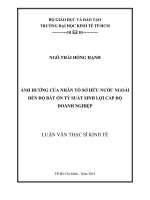 Ảnh hưởng của nhân tố sở hữu nước ngoài đến độ bất ổn tỷ suất sinh lợi cấp độ doanh nghiệp 