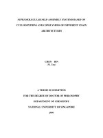 Supramolecular self assembly systems based on cyclodextrins and copolymers of different chain architectures 