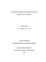 Mechanistic investigations on drug delivery from alginate matrices 