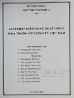 giải pháp kiểm soát hoạt động m  a trong nền kinh tế việt nam