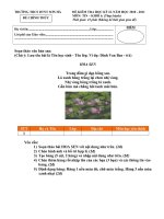 Đề thi Tin 6 Kỳ II (Thực hành)