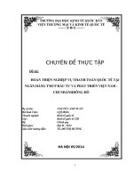 Hoàn thiện nghiệp vụ Thanh toán quốc tế tại ngân hàng TMCP Đầu tư và Phát triển Việt Nam  Chi nhánh Đông Đô