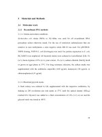 Functional analysis of the nuage, a unique germline organelle, in drosophila melanogaster 2 