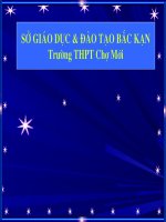 SỰ HÌNH THÀNH VÀ PT PT CÔNG NHÂN
