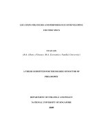 Location strategies and performance of developing country MNCS 