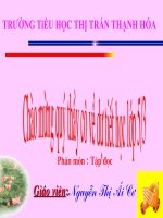 NHỮNG CÁNH BUỒM