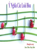 Ý nghĩa các loài hoa