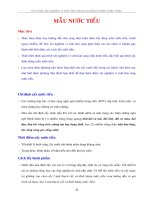 Bài giảng xét nghiệm mẫu nước tiểu 