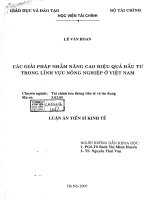 các giải pháp nhằm nâng cao hiệu quả đầu tư trong lĩnh vực nông nghiệp ở việt nam