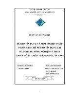 RỦI RO tín DỤNG và một số BIỆN PHÁP NHẰM hạn CHẾ rủi RO tín DỤNG tại NGÂN HÀNG NÔNG NGHIỆP và PHÁT TRIỂN NÔNG THÔN THÀNH PHỐ cần THƠ 