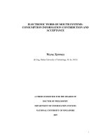 Electronic word of mouth systems  consumption information contribution and acceptance 