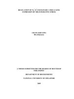 Regulation of na+  h+ exchanger 1 (NHE 1) gene expression by mild oxidative stress 