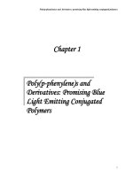 Synthesis and characterization of amphiphilic poly(p phenylene) based nanostructured materials 1 