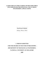 Laser surface structuring of biocompatible polymers films for potential use in tissue engineering applications 