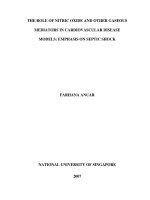 The role of nitric oxide and other gaseous mediators in cardiovascular disease models; emphasis on septic shock 