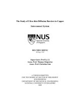 The study of ultra thin diffusion barrier in copper interconnect system 