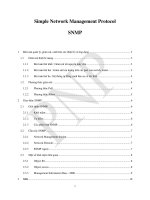 simple network managerment protocol