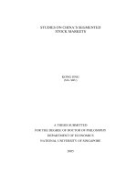 Studies on chinas segmented stock markets 