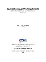 The NR4A orphan nuclear receptors are target genes of the novel drug c1 in cancer cells and potential mediators of drug induced apoptosis 