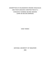 Adsorption of halogenated organic molecules and photo induced construction of a covalently bonded second organic layer on silicon surfaces 