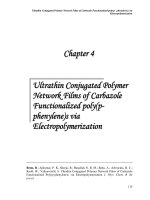 Synthesis and characterization of amphiphilic poly(p phenylene) based nanostructured materials 4 