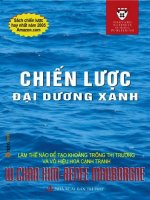 Chiến lược đại dương xanh (nhấn nút toàn màn hình để xem đầy đủ)