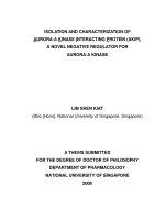 Isolation and characterization of aurora a kinase interacting protein (AKIP), a novel negative regulator for aurora a kinase 