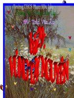 Bài 29 Vùng Tây Nguyên ( tt )